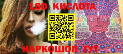 амф Гусев