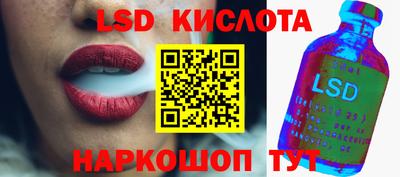 амф Гусев
