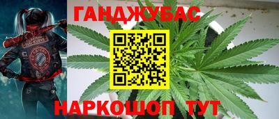 амф Гусев