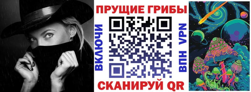 OMG зеркало  Новосибирск  Галлюциногенные грибы Psilocybe  наркотики 