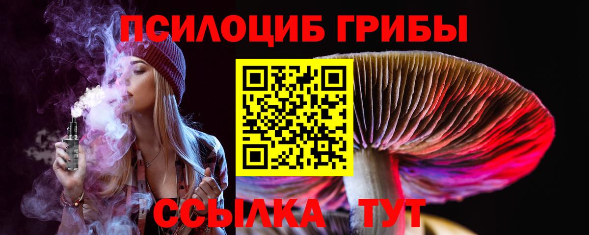 Псилоцибиновые грибы Cubensis Новосибирск